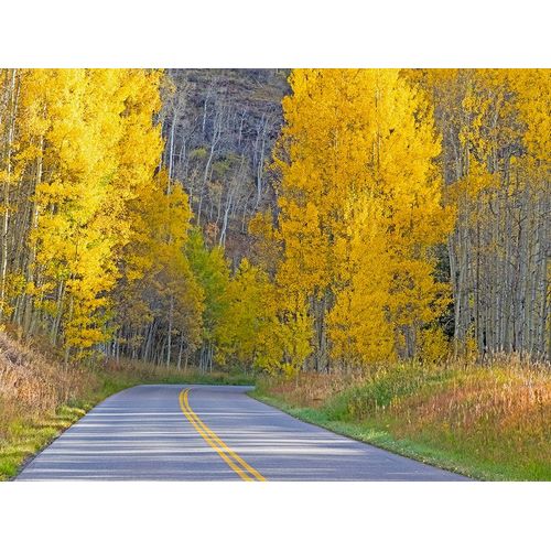 Colorado-Aspen-curved roadway near township of Aspen in fall colors